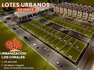 Imagen de WhatsApp 2025-08-15 a las 16.27.04_d3a9cc8e